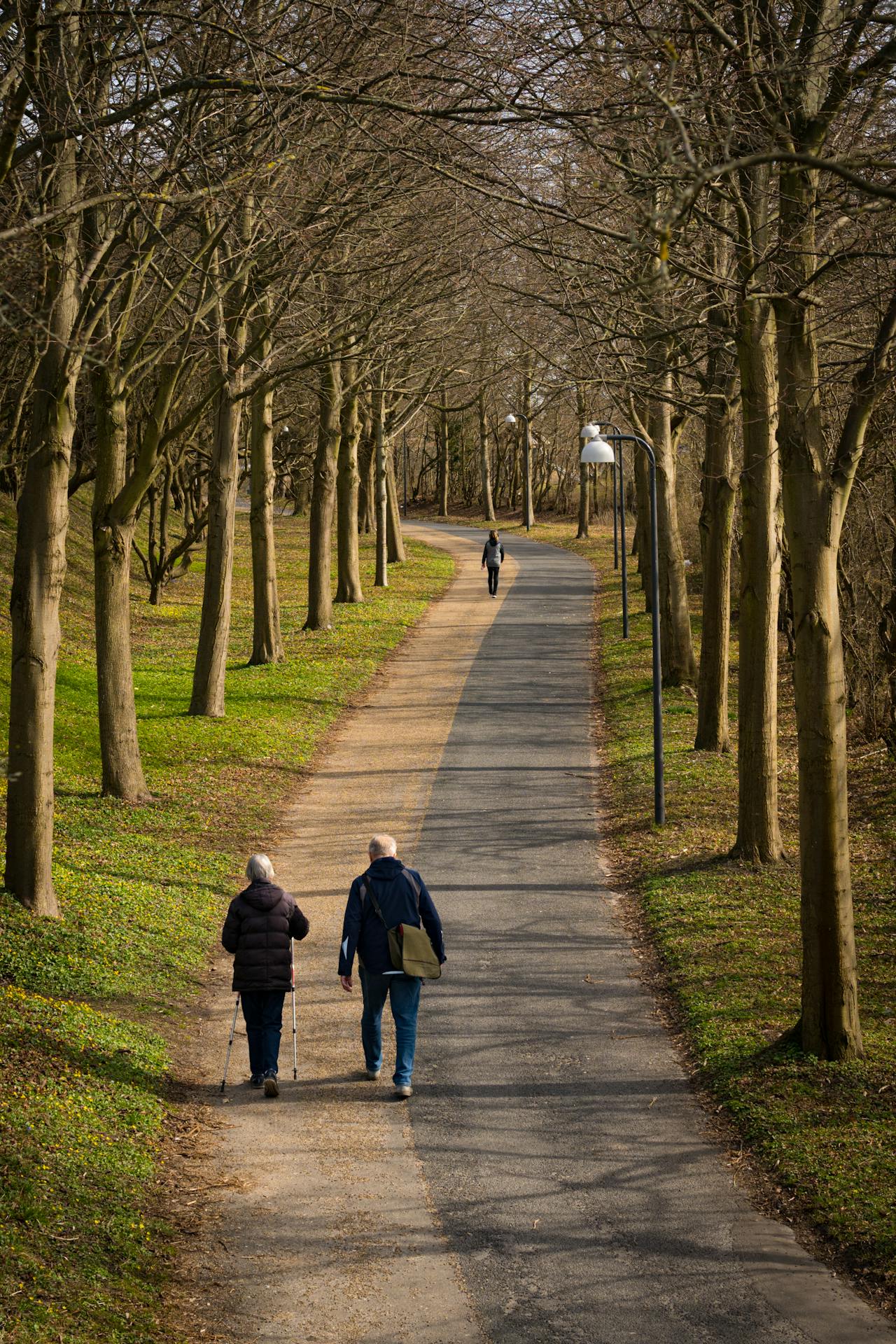 Assisted Walking in Park
