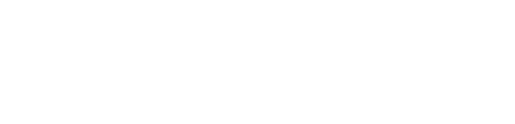 Principle Orthopaedics Logo